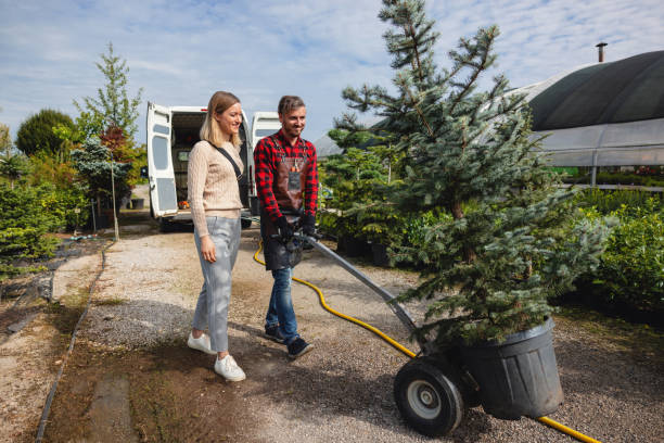 Soil Testing and Treatment in Forest Ranch, CA